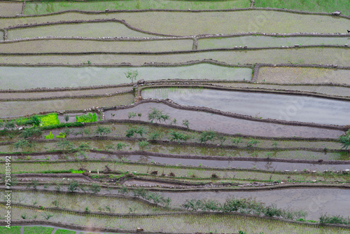 Rice terraces in the Far East. Rice cultivation using traditional methods for 2000 years.