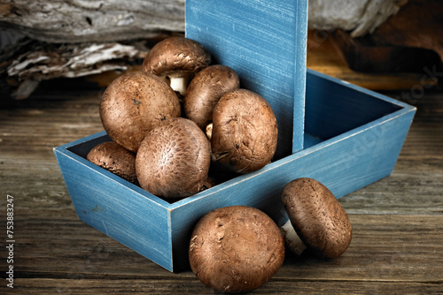 Culinary Treasure: 4K Ultra HD Image of Dried Shiitake Mushroom photo