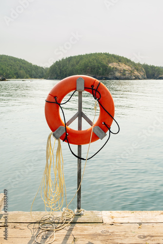 Life Preserver Ring on Boat Dock