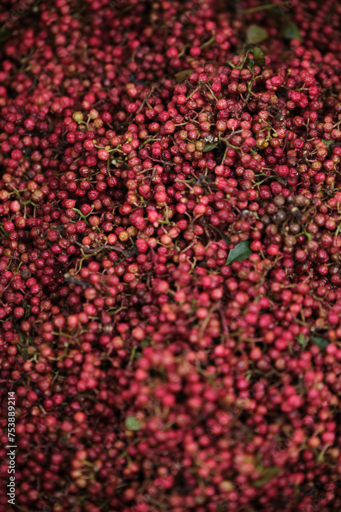 Closeup of freshly picked red peppercorns Closeup of freshly picked red peppercorns