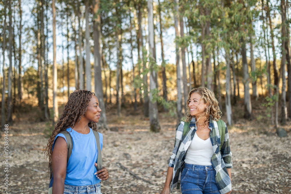 women of different ethnicities walking through a forest women of different ethnicities walking through a forest