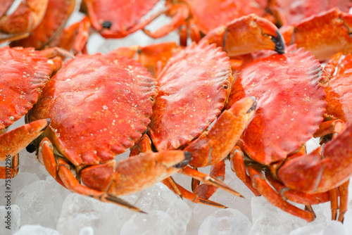 Culinary Elegance: 4K Ultra HD Image of Cooked Crab on Bed of Ice