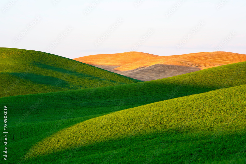 Golden Harvest: 4K Ultra HD Image of Sunset over Idyllic Farmland Landscape with Wheat Field Golden Harvest: 4K Ultra HD Image of Sunset over Idyllic Farmland Landscape with Wheat Field