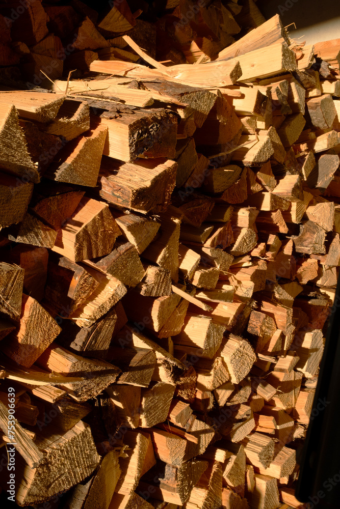 A lot of stacked firewood and golden hour sunlight A lot of stacked firewood and golden hour sunlight