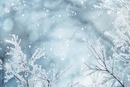 frozen winter scene with snow © AAA
