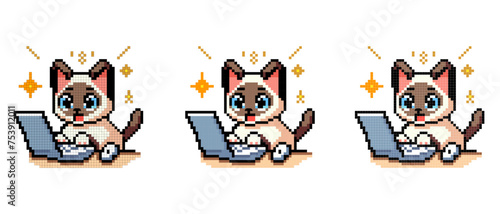 vector pixel art icon with Siamese cat typing on a computer with a surprised face on a white background
