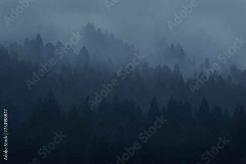 霧がかかる山の風景 photo
