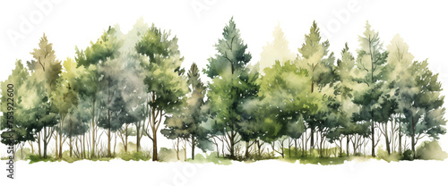Mystic Forest Watercolor Panorama