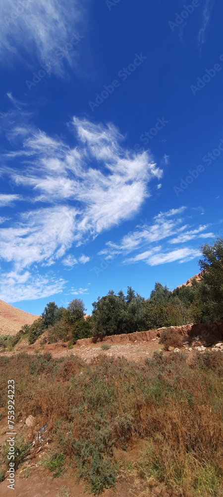 Fototapeta premium landscape with sky