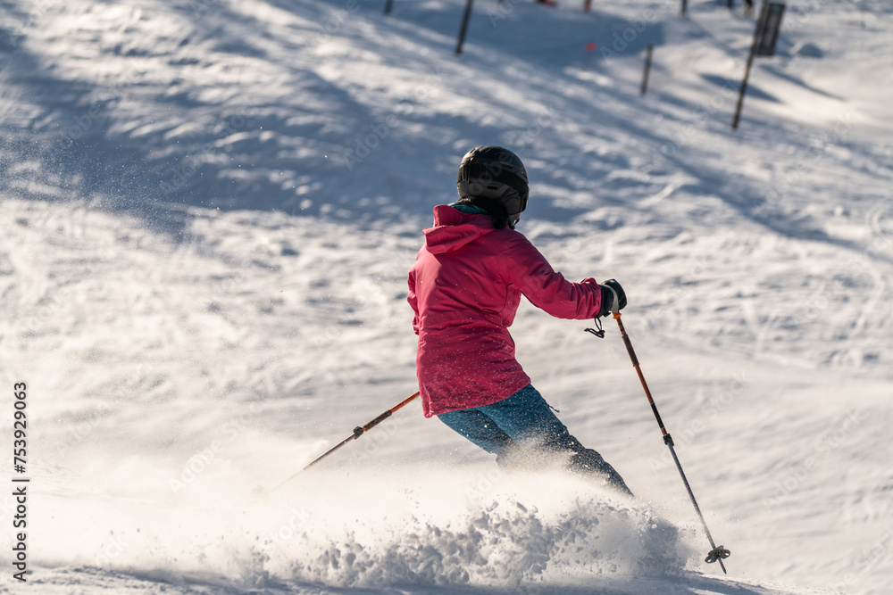 elegant female skier elegant female skier