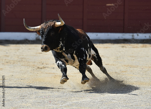 toro español en una plaza de toros en españa