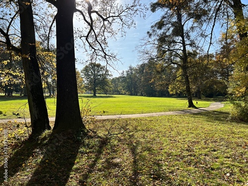 trees and path in the Kravare castle park photo