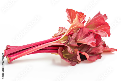 A high-quality image featuring fresh rhubarb with green leaves. The rhubarb is isolated on a white background. This image is perfect for topics related to fresh produce, vegetables, food, and healthy  photo