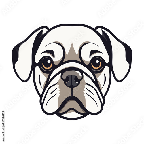 french bulldog with good quality and good design