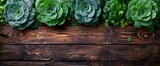 Bok Choy Abstract Background, Banner , HD Background Images