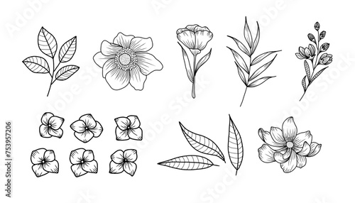 Fototapeta Naklejka Na Ścianę i Meble -  Tropical vector flowers. set floral illustration. exotic Leaf isolated on white background. fcollection with flowers for invitation to party or holiday