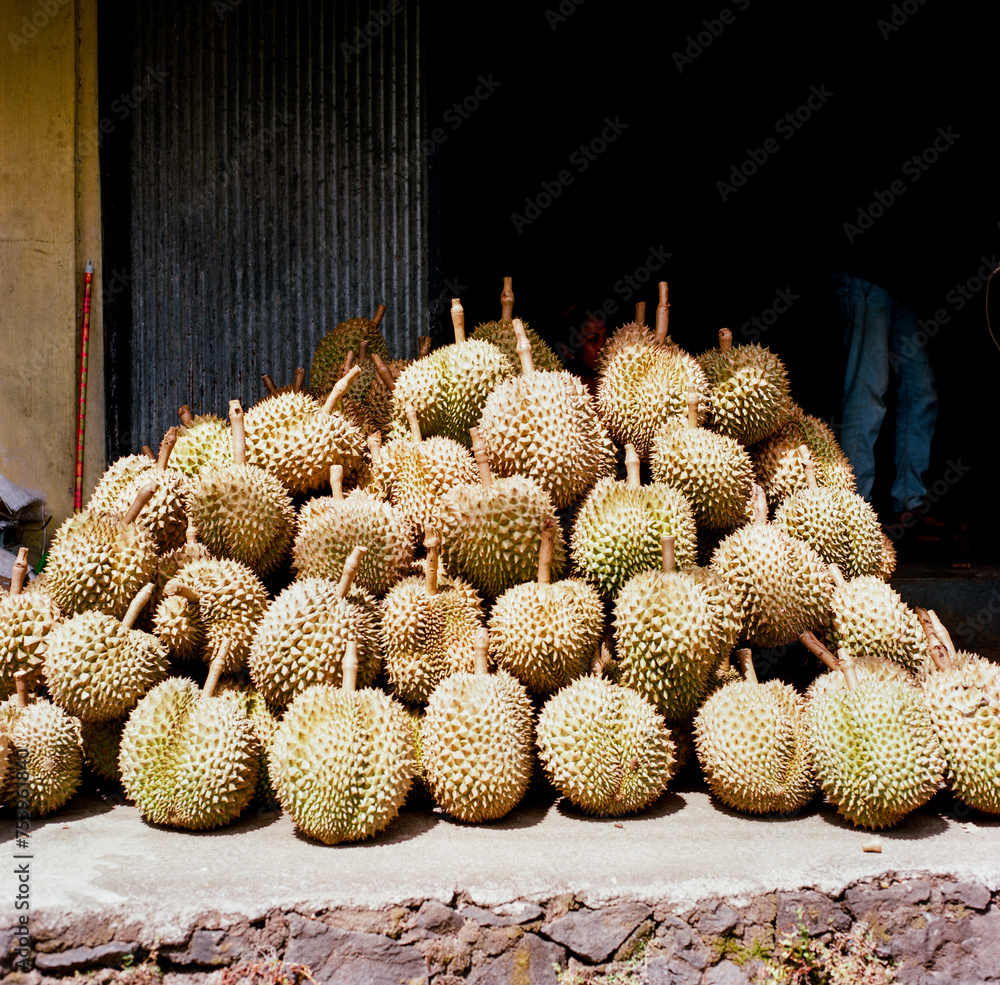 Jackfruits in Ubud Jackfruits in Ubud