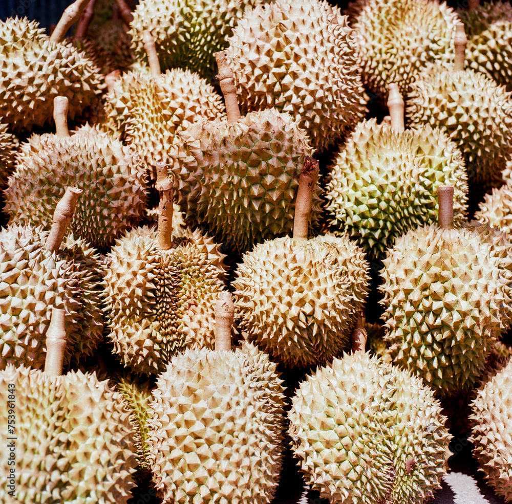 Jackfruits in Ubud Jackfruits in Ubud
