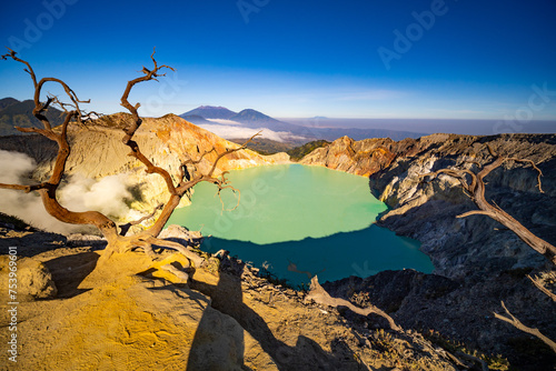 Deadwood Leafless Tree with Turquoise Water Lake,Beautiful nature Landscape mountain and green lake at Kawah Ijen volcano,East Java, Indonesia