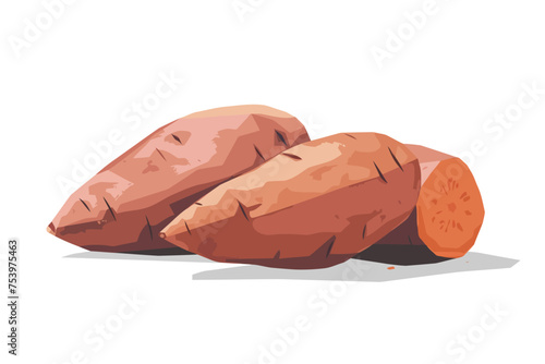 sweet potato isolated vector style © Zaharia Levy