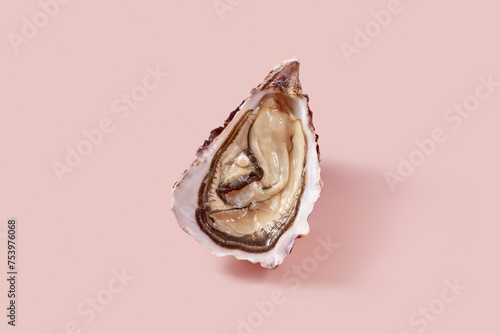Open oyster with pearl in shell lying on pink background photo