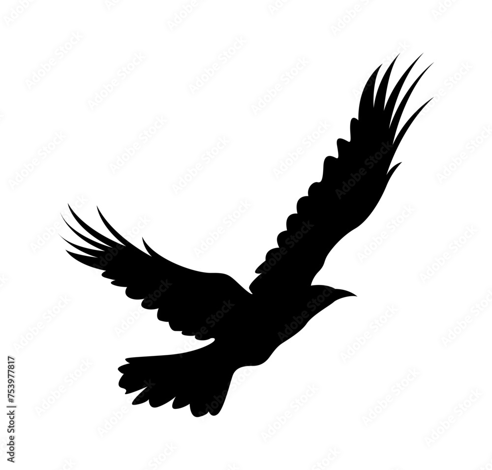 Obraz premium flying bird silhouette