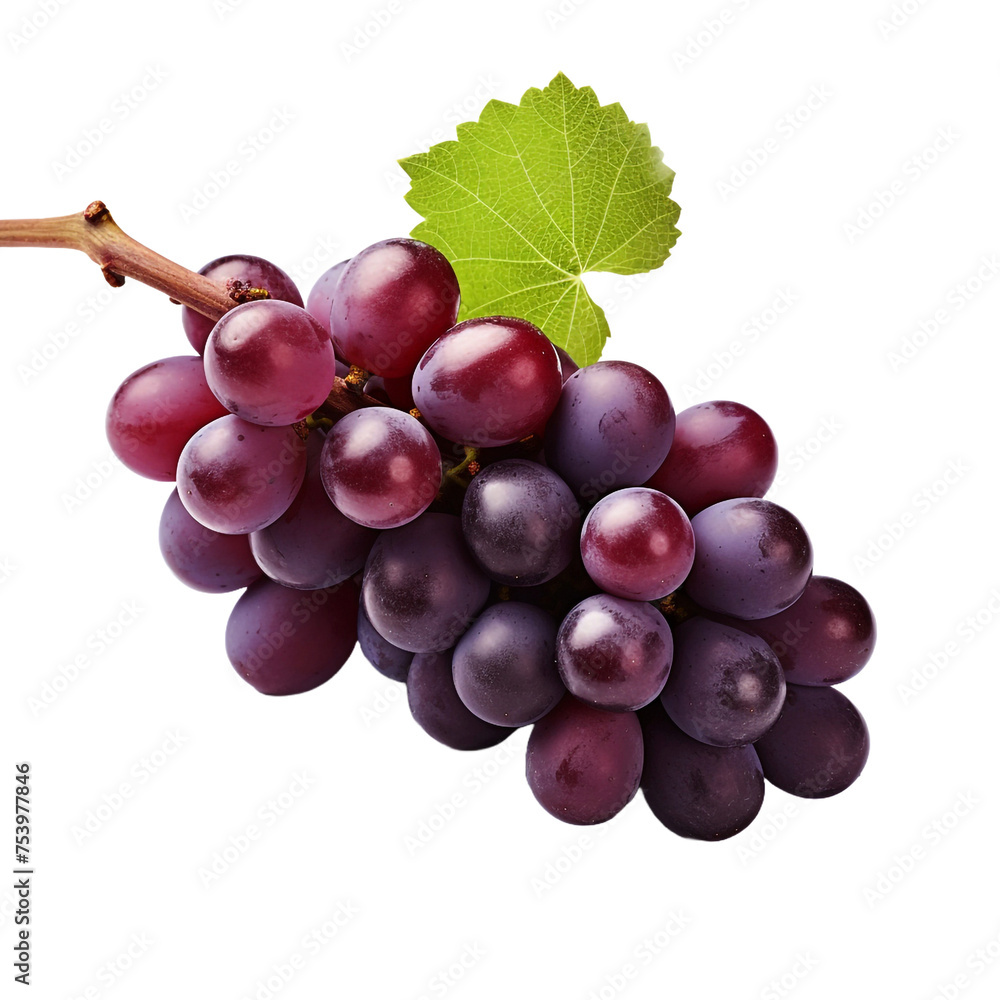 Zinfandel grape isolated on transparent background Zinfandel grape isolated on transparent background