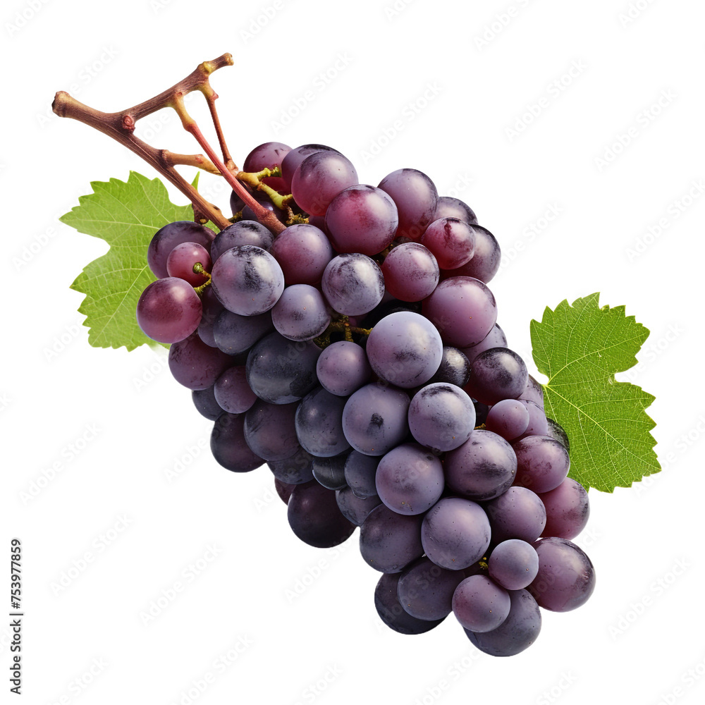 Zinfandel grape isolated on transparent background Zinfandel grape isolated on transparent background
