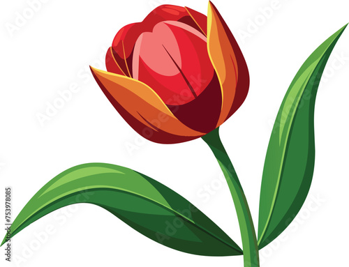 A butiful flower tulip vector illustration photo