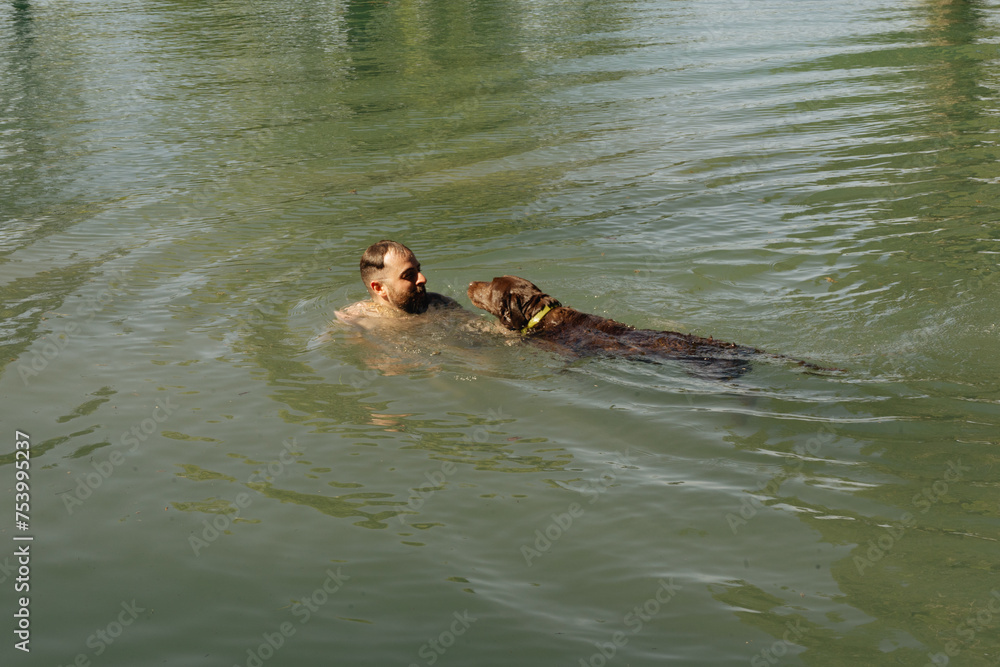 Man and brown lab dog jump into lake Man and brown lab dog jump into lake