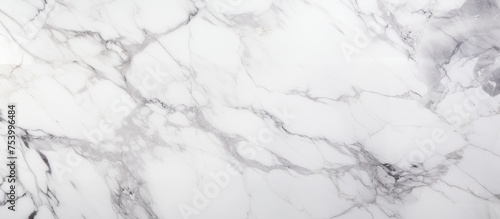 Close up view of a white marble texture, showcasing the intricate patterns and details of the luxurious stone.