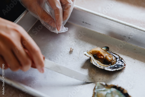 Pearl Harvesting Process photo