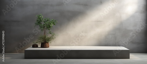 A potted plant is placed on top of a cement block inside a new concrete exhibition room. The setting is minimalist, showcasing the plant as the focal point.