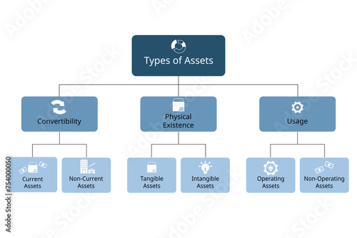 type of assets for convertibility, physical existence, usage for each assets categories photo