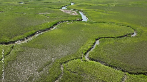 Natural salt water marsh and wetlands on coast of South Carolina beside intracoastal waterway between Georgetown and Charleston, SC