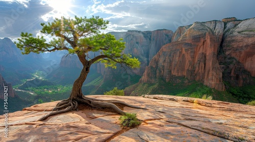 Aerial view of majestic canyons showcasing nature s beauty, emphasizing scale, light, and shadows.