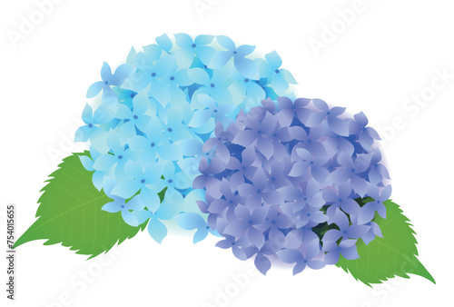 アジサイ　梅雨　花　アイコン