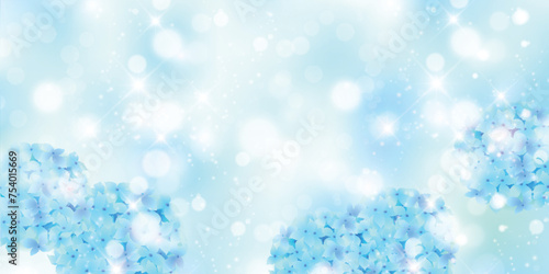 アジサイ　梅雨　花　背景	