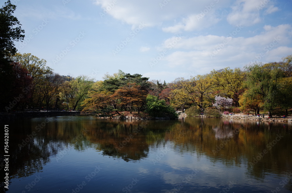 Changgyeonggung Palace in Spring, Spring in Seoul, traditional places in Seoul