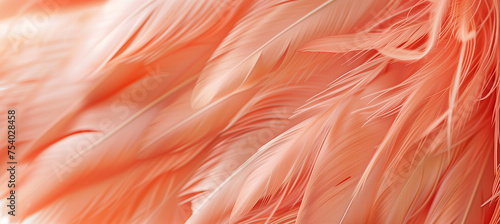 Close-up abstract macro of trendy peach feather texture, apricot fluffy backdrop