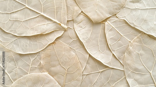 Intricate white tree leaf skeleton texture background with shining patterns and detailed structure