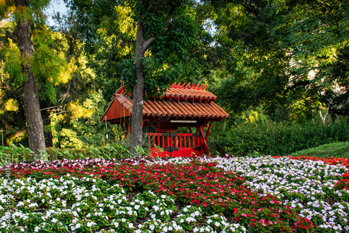 Jardín de un templo tradicional japonés