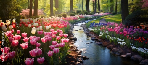A stream meanders through a dense, vibrant green forest filled with colorful flowers. The water flows gently, reflecting the lush surroundings and creating a peaceful atmosphere. © 2rogan