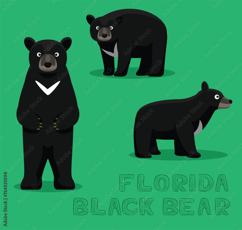 Obraz premium Florida Black Bear Cartoon Vector Illustration