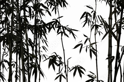 Graceful bamboo stalks sway gently in the breeze  their silhouettes dancing on a bright background