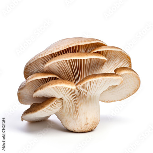 Fresh single raw brown white mushroom isolated on white background created with Generative AI Technology