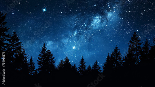 A beautiful night sky the Milky Way and the trees shot from under 