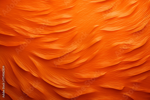 carrot orange background