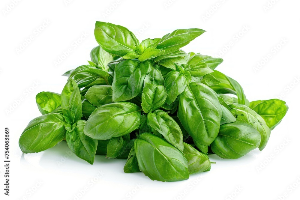 A bunch of green leaves of basil. The leaves are piled on top of each other A bunch of green leaves of basil. The leaves are piled on top of each other