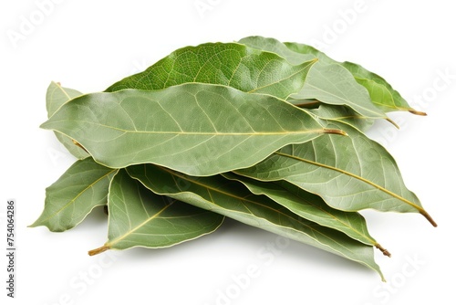 A bunch of bay leaves. The leaves are green and have a slightly fuzzy texture photo